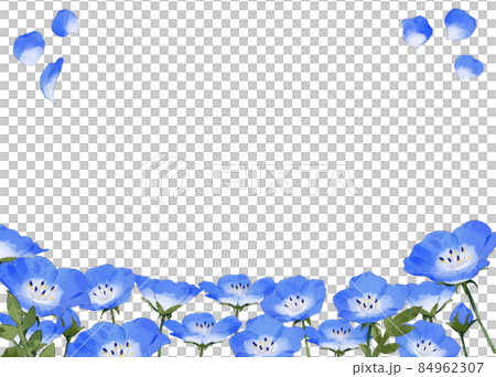 ネモフィラ　水彩風イラストフレーム 84962307