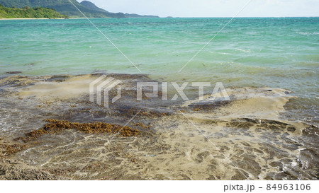 環境破壊 軽石がきれいな海を汚す 環境破壊 軽石がきれいな海を汚す 84963106