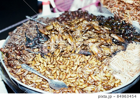 食用の虫(バンコク・パッポン/タイ王国) 食用の虫(バンコク・パッポン/タイ王国) 84963454