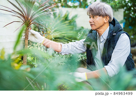 ガーデニング シニア男性 84963499