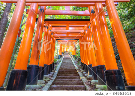 京都府　伏見稲荷大社・千本鳥居 84963613