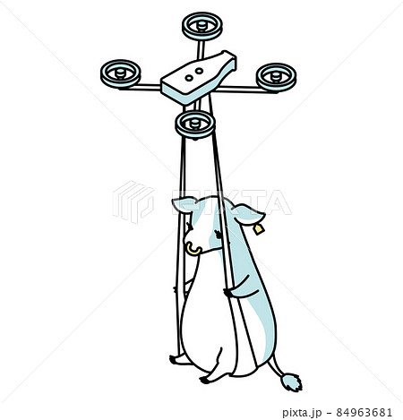 ドローンに掴まって運ばれる牛のアイソメイラストのイラスト素材