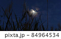 すすきと月 84964534