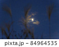 すすきと半月 84964535
