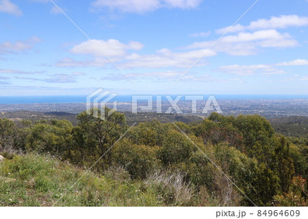 オーストラリア ロフティ山にて_2 オーストラリア ロフティ山にて_2 84964609