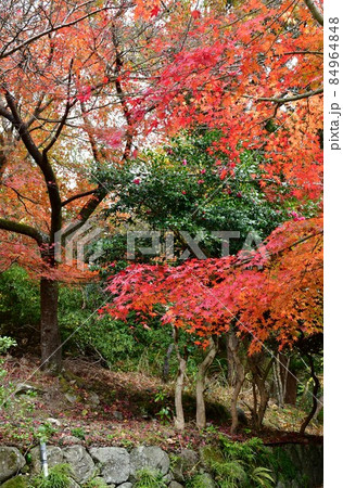 文珠仙寺 日本三文殊 三人寄れば文殊の知恵 文珠仙寺 日本三文殊 三人寄れば文殊の知恵 84964848