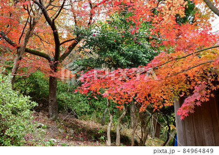 文珠仙寺 日本三文殊 三人寄れば文殊の知恵 文珠仙寺 日本三文殊 三人寄れば文殊の知恵 84964849