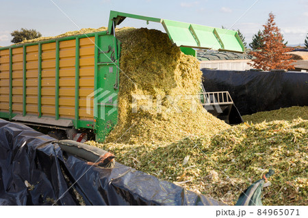 Harvesting of silage 84965071