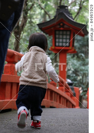 宇佐神宮の境内を一人で歩きたがる1歳児 大分県宇佐市 宇佐神宮の境内を一人で歩きたがる1歳児 大分県宇佐市 84965929