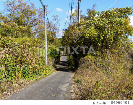 狭い峠道の風景 84966401