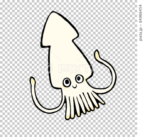 イカのゆるい手描きイラストのイラスト素材 [84966454] - PIXTA