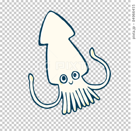 イカとイワシの手書きの画像 ゆるいイカのイラスト - ONWAイラスト