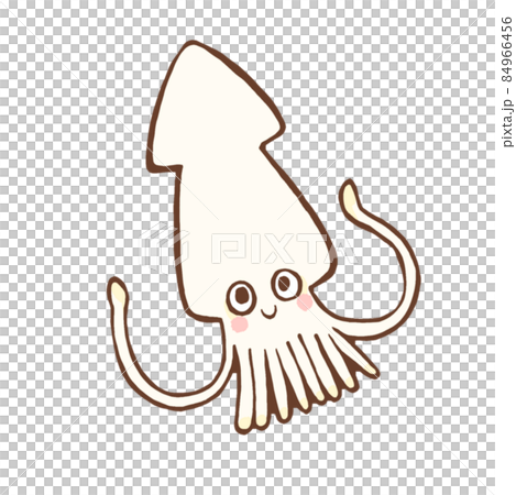 魷魚的鬆散手繪插圖 84966456