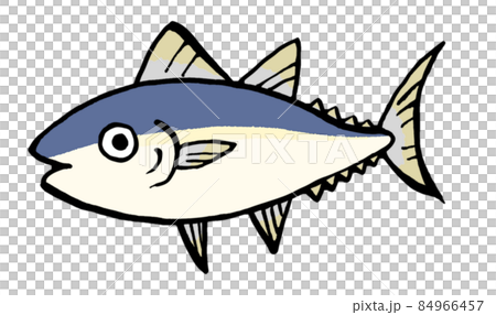 マグロのゆるい手描きイラストのイラスト素材