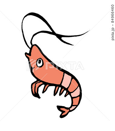 えびのゆるい手描きイラストのイラスト素材