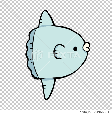 マンボウの手描きイラスト マンボウの手描きイラスト 84966661