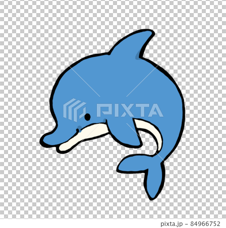専用 手描きイラスト イルカ イルカの手描きイラストのイラスト素材 [84966752] - PIXTA
