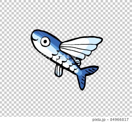 飛魚的鬆散手繪插圖 84966817