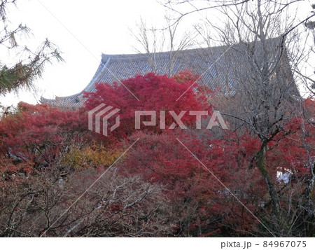 京都の紅葉をめぐる　　東福寺編 84967075