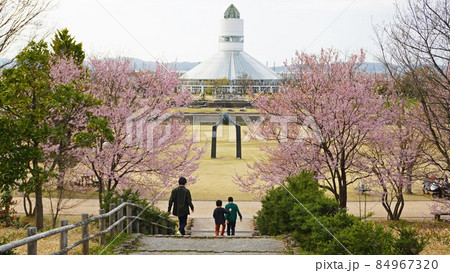 桜のある風景＜01＞（桜とおとぎの森館に向かう子供達）富山県高岡市高岡おとぎの森公園内 84967320
