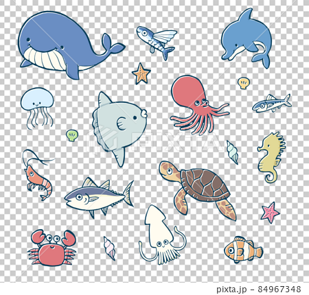Various things of the sea - Stock Illustration [54894908] - PIXTA