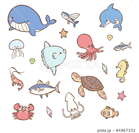 海の生き物のかわいい手描きイラストセット 84967352