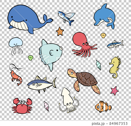可愛的手繪插圖集的海洋生物 84967353