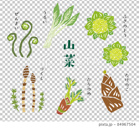 Wild vegetable set retro vector illustration 84967504