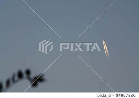 夕空を往く飛行機と植物のシルエット 夕空を往く飛行機と植物のシルエット 84967830