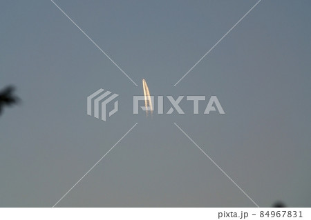 夕空を往く飛行機と植物のシルエット 夕空を往く飛行機と植物のシルエット 84967831