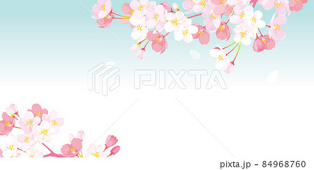 桜　背景イラスト 84968760