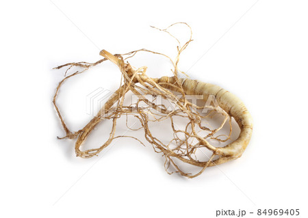 Ginseng isolated on white background Ginseng isolated on white background 84969405