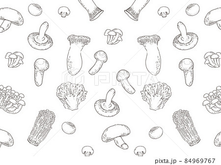 多種類のキノコの背景イラスト：白黒 84969767