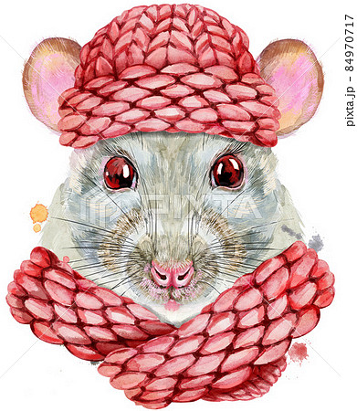 Watercolor portrait of white rat with pink knitted hat 84970717