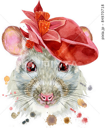 Watercolor portrait of white rat with red hat and splashes 84970718