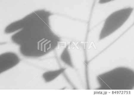 Shadow overlay effect for photo. Shadows from tree leaves palm and tropical branches on a white wall in sunlight.. Shadow overlay effect for photo. Shadows from tree leaves palm and tropical branches on a white wall in sunlight.. 84972753