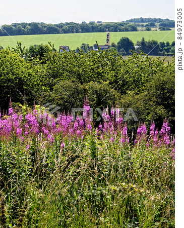 Viev of the ancient town of Dundonald - South Ayrshire - Scotland 84973005