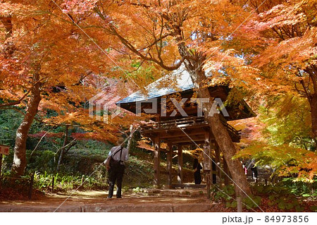 両足寺 84973856
