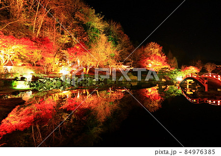 岩手県奥州市　えさし藤原の郷　紅葉ライトアップ 84976385