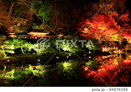 岩手県奥州市 えさし藤原の郷 紅葉ライトアップ 岩手県奥州市 えさし藤原の郷 紅葉ライトアップ 84976388