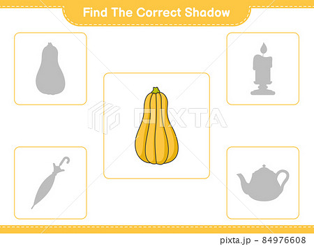 Find the correct shadow. Find and match the correct shadow of Butternut Squash. Educational children game, printable worksheet, vector illustration Find the correct shadow. Find and match the correct shadow of Butternut Squash. Educational children game, printable worksheet, vector illustration 84976608