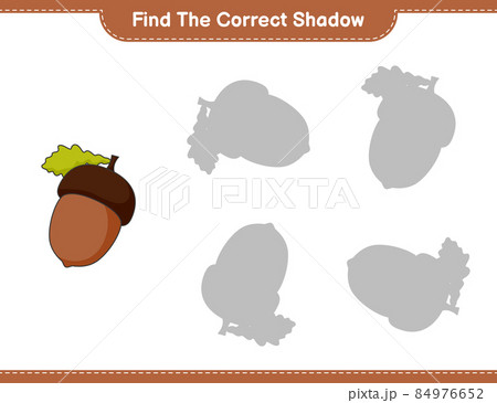 Find the correct shadow. Find and match the correct shadow of Acorn. Educational children game, printable worksheet, vector illustration Find the correct shadow. Find and match the correct shadow of Acorn. Educational children game, printable worksheet, vector illustration 84976652