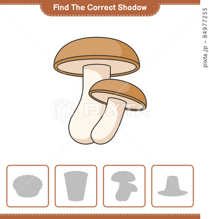 Find the correct shadow. Find and match the correct shadow of Shiitake. Educational children game, printable worksheet, vector illustration 84977255