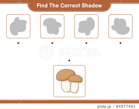 Find the correct shadow. Find and match the correct shadow of Mushroom Boletus. Educational children game, printable worksheet, vector illustration Find the correct shadow. Find and match the correct shadow of Mushroom Boletus. Educational children game, printable worksheet, vector illustration 84977401