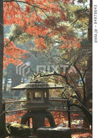 石灯籠と紅葉 石灯籠と紅葉 84978643