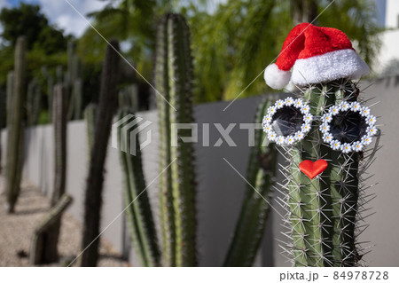 Big cactus with Christmas hat and sunglasses. Christmas in the tropics. Big cactus with Christmas hat and sunglasses. Christmas in the tropics. 84978728