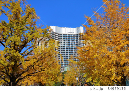 パレスホテル東京　イチョウ　東京都千代田区丸の内 84979136