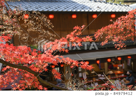 深大寺門前町の晩秋風景 深大寺門前町の晩秋風景 84979412