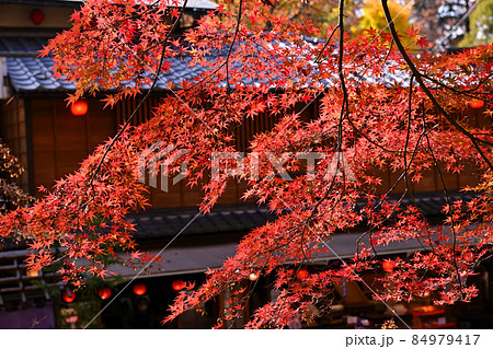 深大寺門前町の晩秋風景 深大寺門前町の晩秋風景 84979417