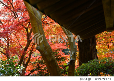 深大寺門前町の晩秋風景 深大寺門前町の晩秋風景 84979474